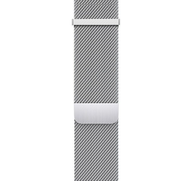 HOCO magnetic metal strap 20 mm WH02 silver