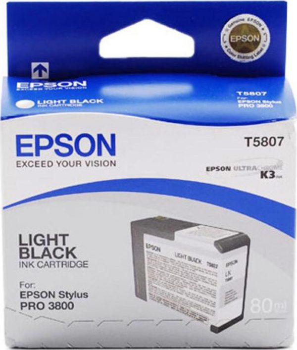 EPSON Cartridge Light Black C13T580700 C13T580700 1