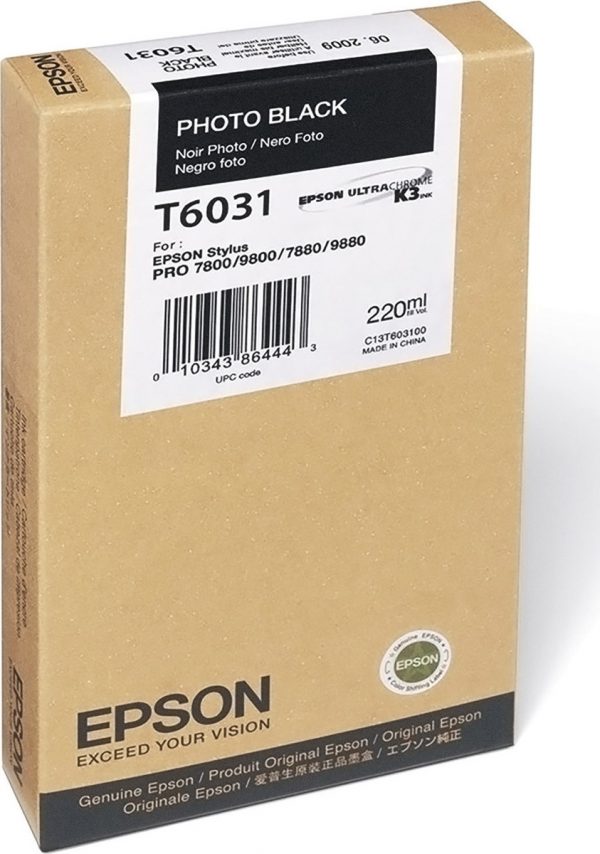 EPSON Cartridge Photo Black C13T603100 C13T603100 1