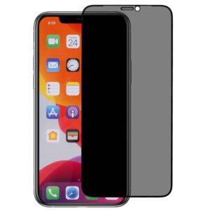 TechWave 5D Full Glue Privacy Tempered Glass for iPhone XR / 11 black