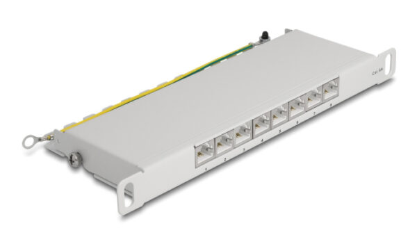 DELOCK patch panel 66871 για καμπίνα δικτύου 10"/0.5U