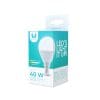 LED bulb E14 G45 6W 4500K 480lm Forever Light