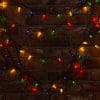 String light PINE CONE 100LED 8m multicolor Forever Light